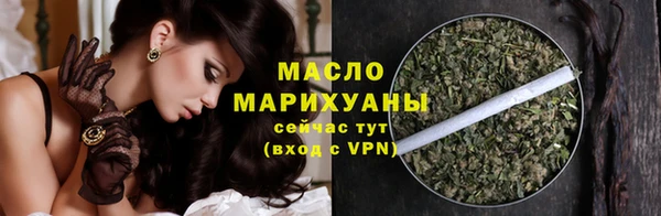 дживик Краснослободск