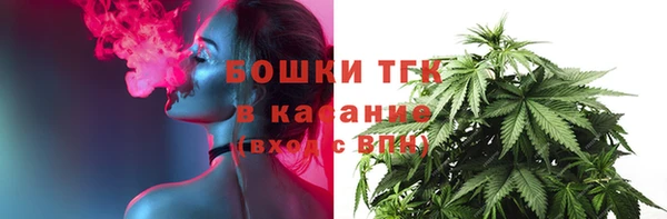 дживик Краснослободск