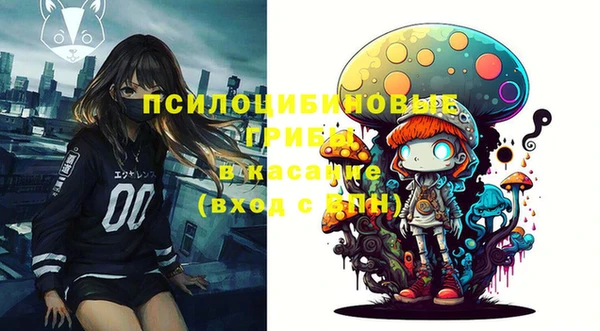 дживик Краснослободск