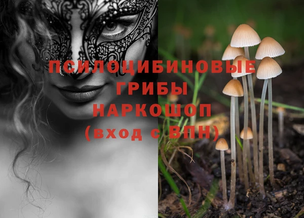 дживик Краснослободск