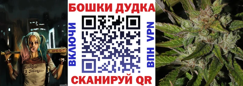 Бошки Шишки семена  Хасавюрт 